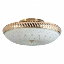 Потолочная люстра Loreen TL1492Y-05GC