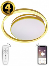 Потолочный светильник LED LAMPS LED LAMPS 81304