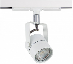 Трековый светильник Ринг CL525T10N