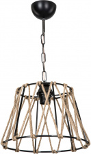 Подвесной светильник Georgiana TL1607H1-01BK