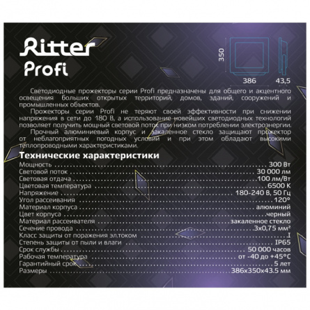 Прожектор уличный PROFI 53413 0 фото 2