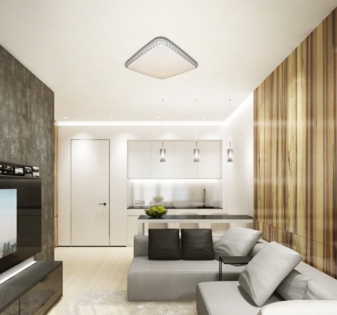 Потолочный светильник LED LAMPS LED LAMPS 81080 фото 2