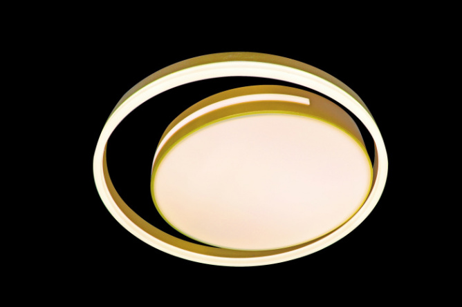 Потолочный светильник LED LAMPS LED LAMPS 81304 фото 3